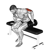 dumbbell seated one arm kickback dimostrazione dell’esercizio