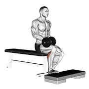 dumbbell seated one leg calf raise exercise demonstration