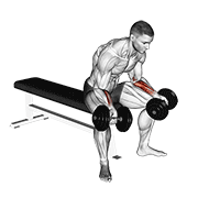 dumbbell seated palms up wrist curl 动作演示