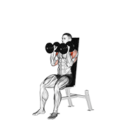 dumbbell seated shoulder press (parallel grip) 动作演示