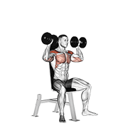dumbbell seated shoulder press egzersiz gösterimi