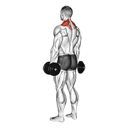 dumbbell shrug egzersiz gösterimi