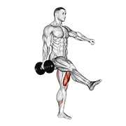 dumbbell single leg squat exercise demonstration