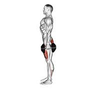 dumbbell squat egzersiz gösterimi