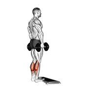 dumbbell standing calf raise exercise demonstration