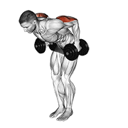 dumbbell standing kickback exercise demonstration