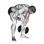 dumbbell standing one arm concentration curl 动作演示