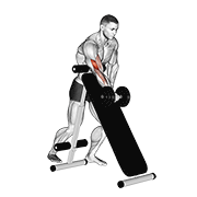 dumbbell standing one arm curl (over incline bench) exercise demonstration