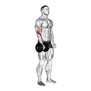 dumbbell standing one arm reverse curl exercise demonstration