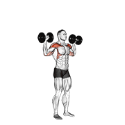 dumbbell standing overhead press exercise demonstration
