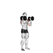 dumbbell standing palms in press 动作演示