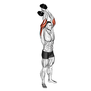dumbbell standing triceps extension exercise demonstration