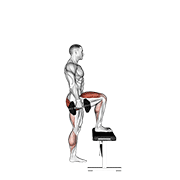 dumbbell step-up 动作演示