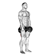dumbbell stiff leg deadlift exercise demonstration