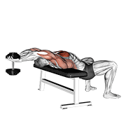 dumbbell straight arm pullover dimostrazione dell’esercizio