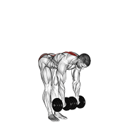 dumbbell straight leg deadlift exercise demonstration