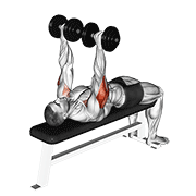 dumbbell tate press dimostrazione dell’esercizio