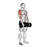 dumbbell upright row dimostrazione dell’esercizio