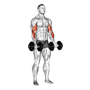 dumbbell zottman curl exercise demonstration