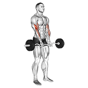ez barbell close-grip curl exercise demonstration