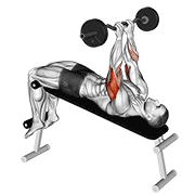 ez barbell decline close grip face press dimostrazione dell’esercizio