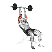 ez barbell incline triceps extension dimostrazione dell’esercizio