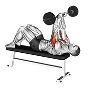 ez barbell jm bench press 动作演示