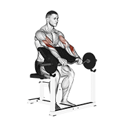 ez barbell reverse grip preacher curl dimostrazione dell’esercizio