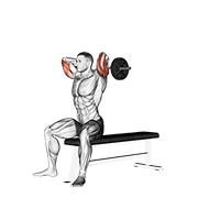 ez barbell seated triceps extension dimostrazione dell’esercizio