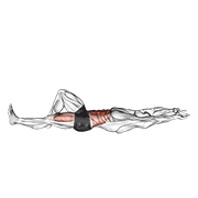 flexion leg sit up (bent knee) 动作演示