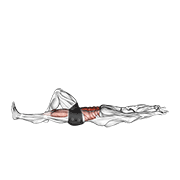 flexion leg sit up (straight arm) egzersiz gösterimi