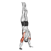 handstand push-up exercise demonstration