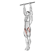 hanging leg raise dimostrazione dell’esercizio