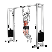 hanging straight leg hip raise exercise demonstration
