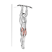 hanging straight leg raise exercise demonstration