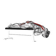 hyperextension (on bench) dimostrazione dell’esercizio