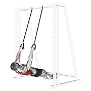 inverted row with straps exercise demonstration