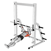 inverted row exercise demonstration