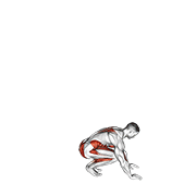 jack burpee exercise demonstration
