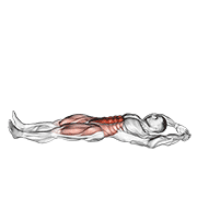 jackknife sit-up exercise demonstration