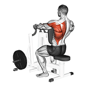lever alternating narrow grip seated row dimostrazione dell’esercizio