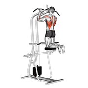lever assisted chin-up exercise demonstration