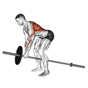lever bent over row dimostrazione dell’esercizio
