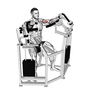 lever bicep curl exercise demonstration