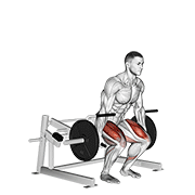 lever deadlift exercise demonstration