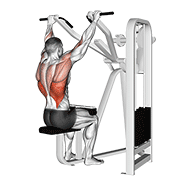 lever front pulldown exercise demonstration