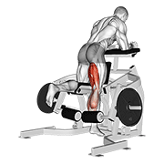 lever kneeling leg curl dimostrazione dell’esercizio