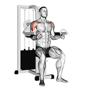 lever lateral raise exercise demonstration
