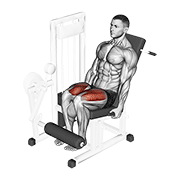 lever leg extension exercise demonstration