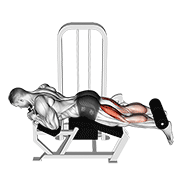 lever lying leg curl exercise demonstration